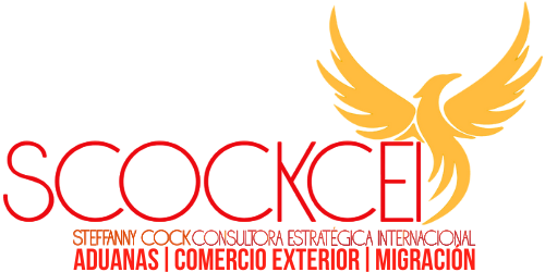Logo Scockscei